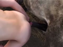 Amateur zoophilia pussy penetration with a slim babe addicted to animal cocks